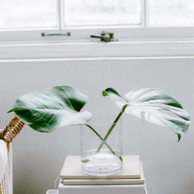 Welcome to KOKONEYUI