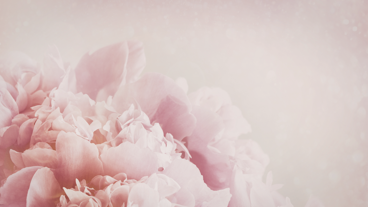 Soften Bath Rituals
