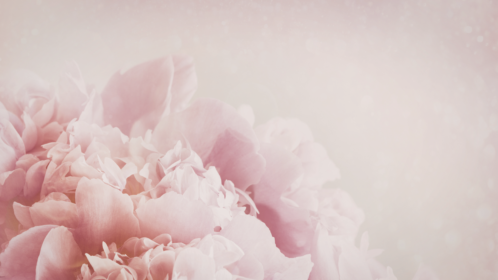 Soften