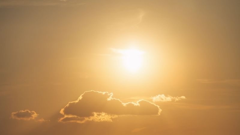 Light / Morning / Shadow